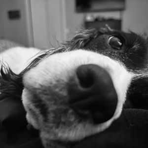 Meet your Posher, Lesa